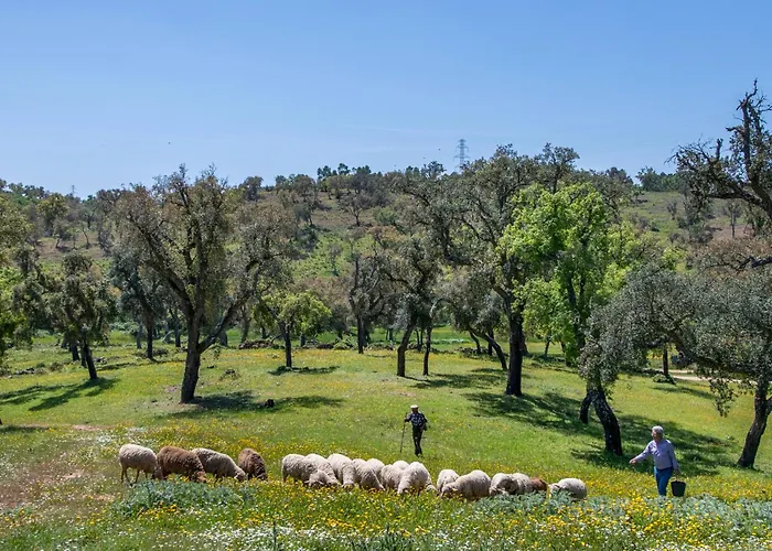 度假居 Casa Do Avo