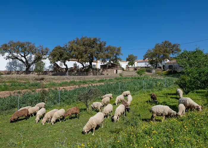 Casa Do Avô Hébergement de vacances *