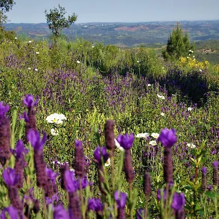 Casa Do Avo Semesterbostad *