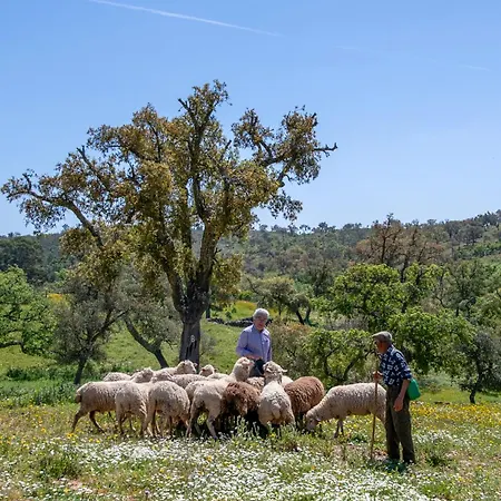 Semesterbostad Casa Do Avo *