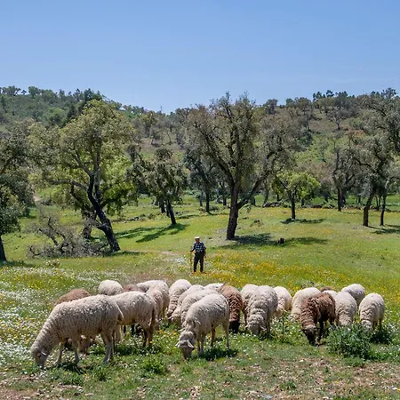 Casa Do Avo Semesterbostad Loulé