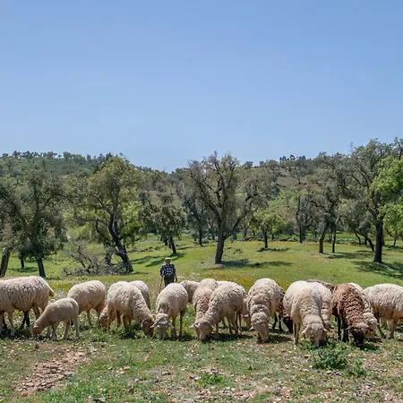 Semesterbostad Casa Do Avo Loulé