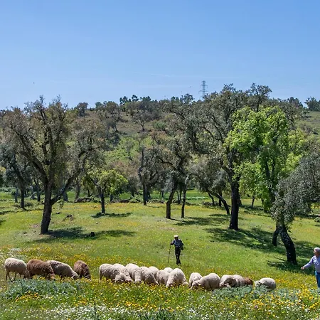 Semesterbostad Casa Do Avo