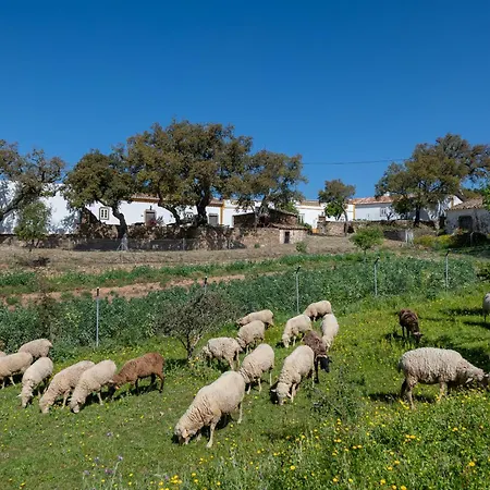 Casa Do Avo Semesterbostad *