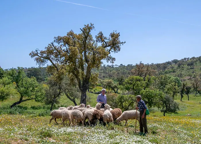 Casa vacanze Casa Do Avo *