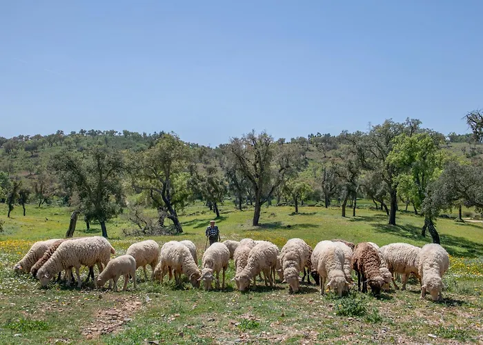 Casa vacanze Casa Do Avo Loulé